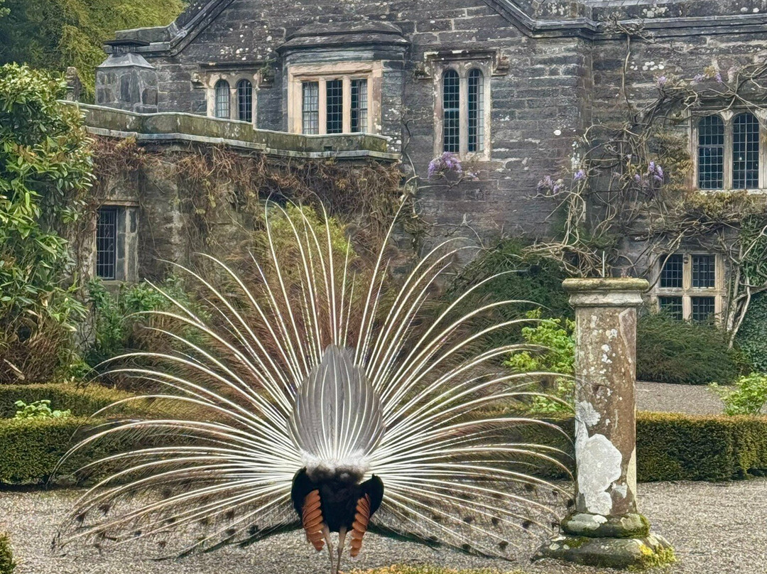 Gwydir Castle-Llanrwst必去景点