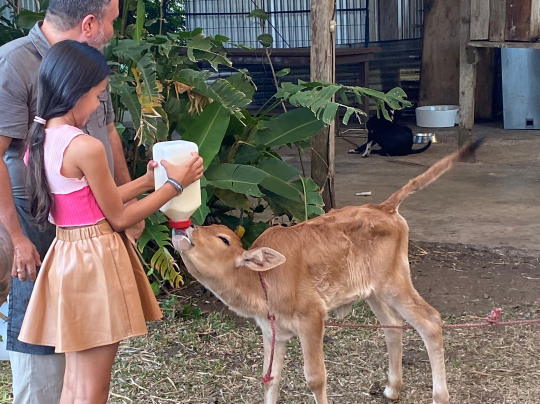 Guayabo Animal Rescue-Guayabo必去景点