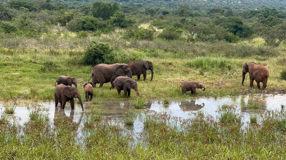 Akagera National Park-Eastern Province必去景点