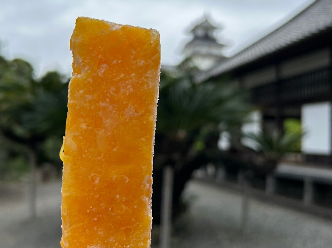 Kakegawa Castle Goden-挂川市必去景点