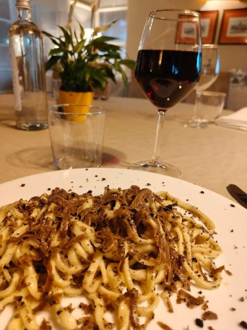 拜奥罗莱纳特酒店-旅行者