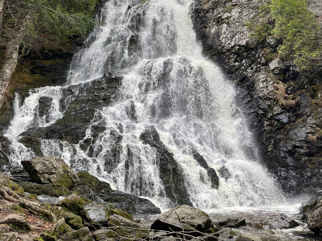 Maliseet Trail-Woodstock必去景点