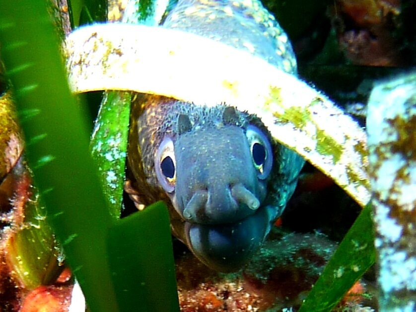 MDS My Diving School-卡拉多尔必去景点
