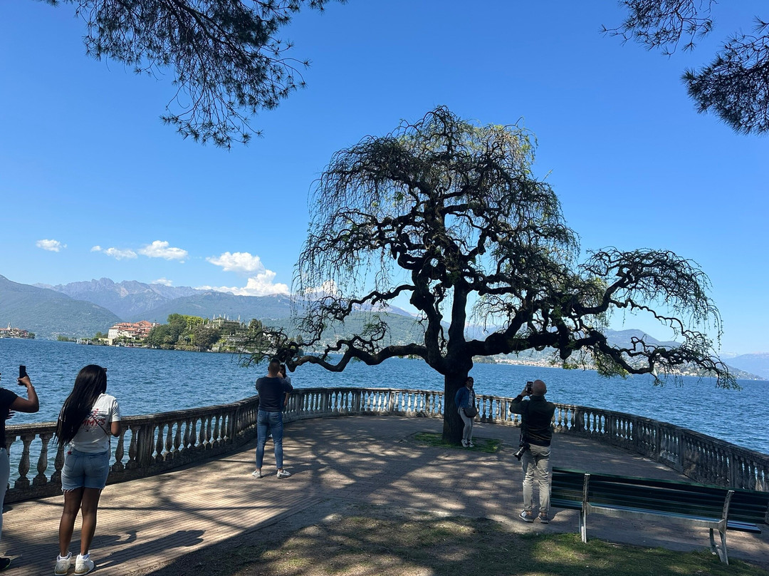 Lungolago Stresa-斯特雷萨必去景点
