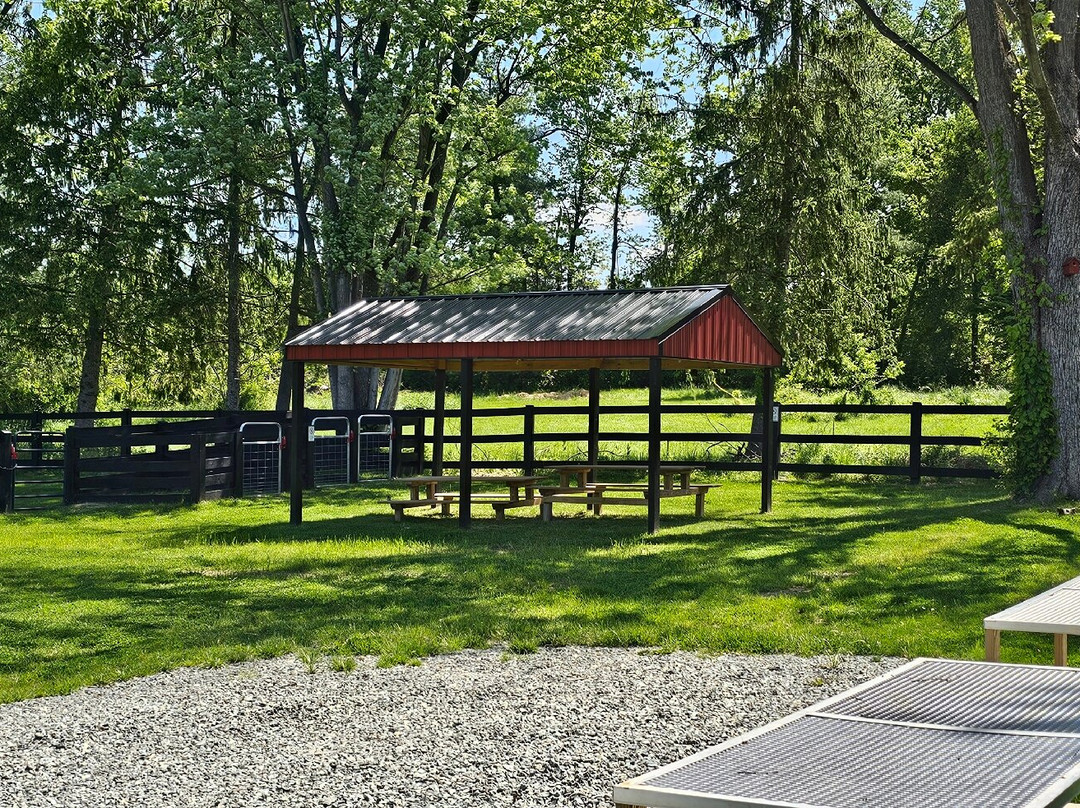 Sunny Dreams Farm-Bel Air必去景点