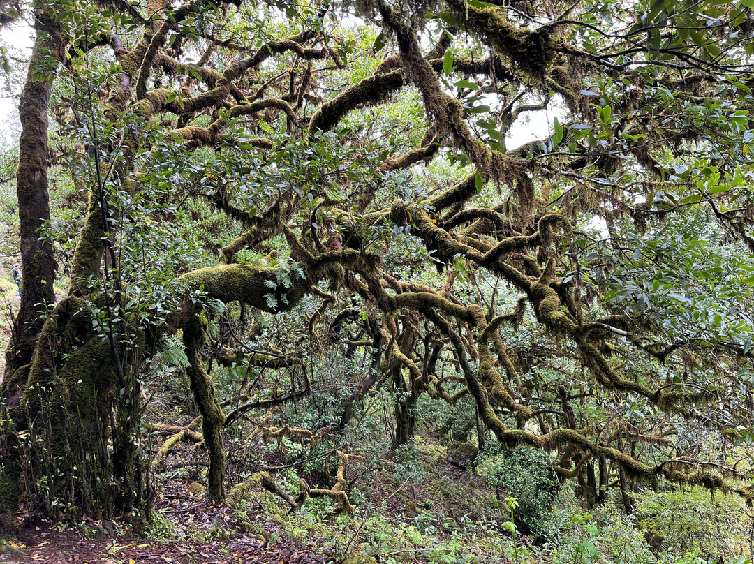 Portugal Nature Trails-辛特拉必去景点