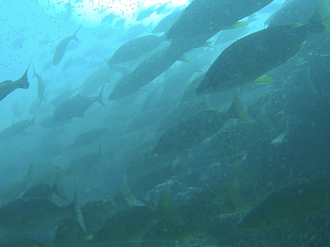 Pirate Divers Bang Niang, Khao Lak-拉克山必去景点