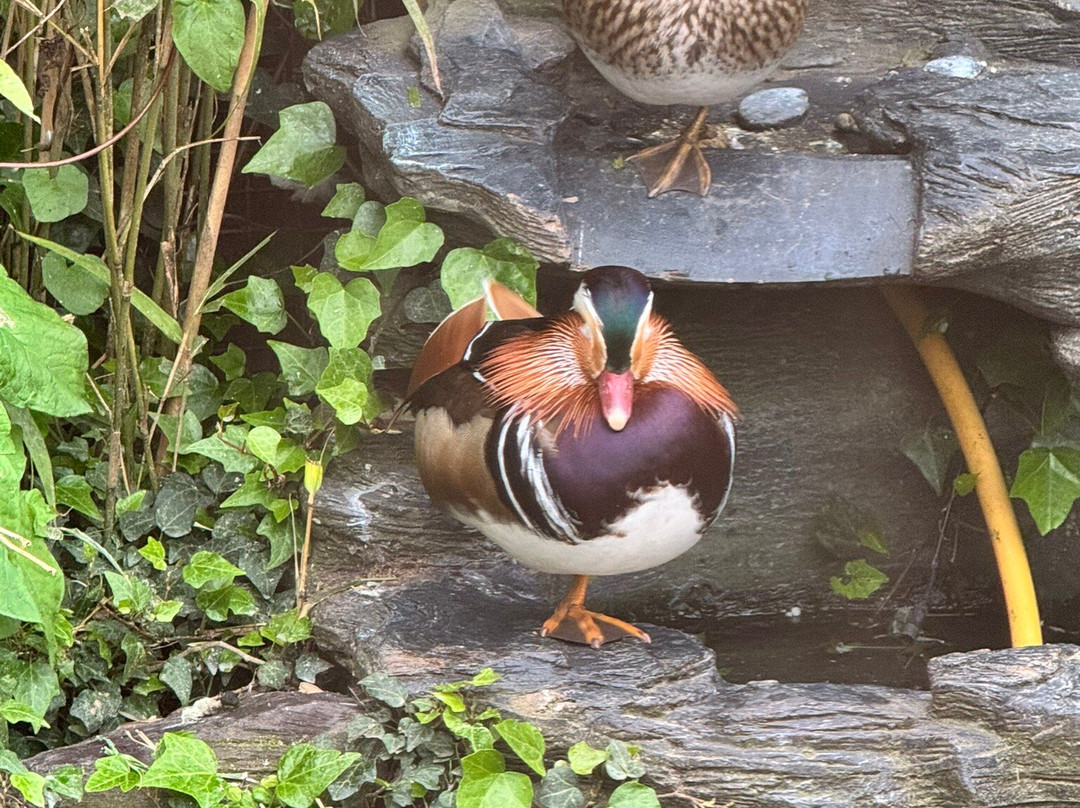 Filey Zoo-Filey必去景点