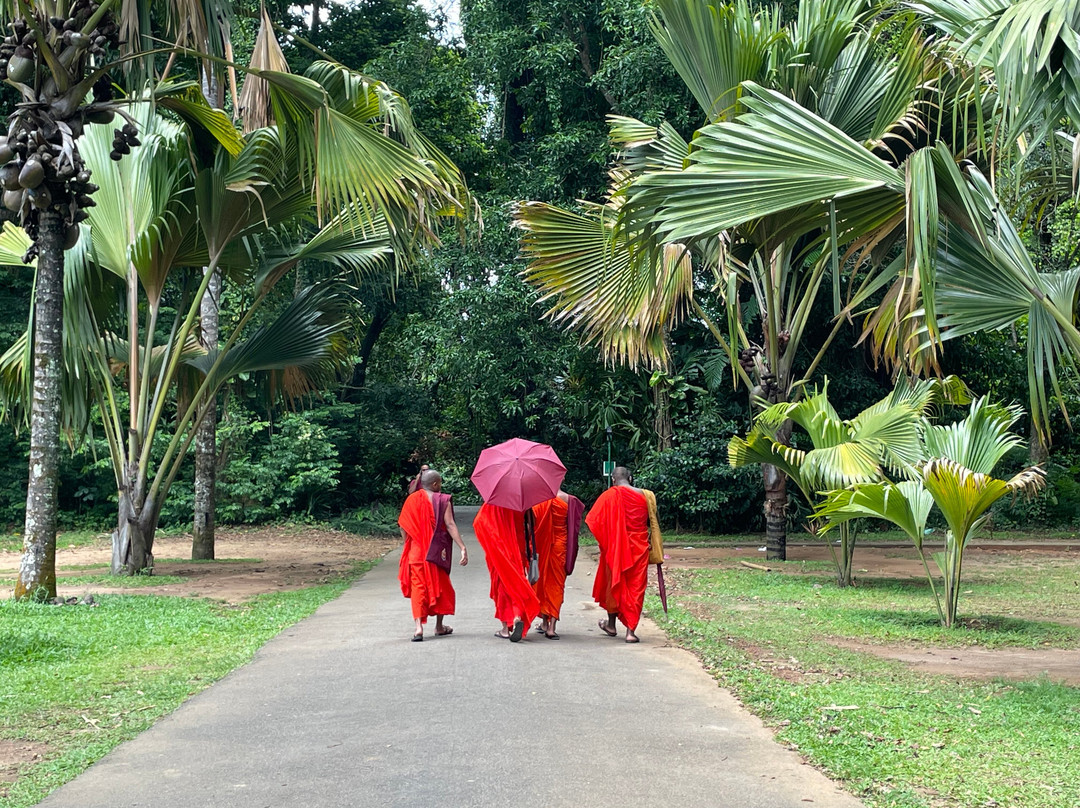 Sri Lanka Tour Guides-Gonapola必去景点