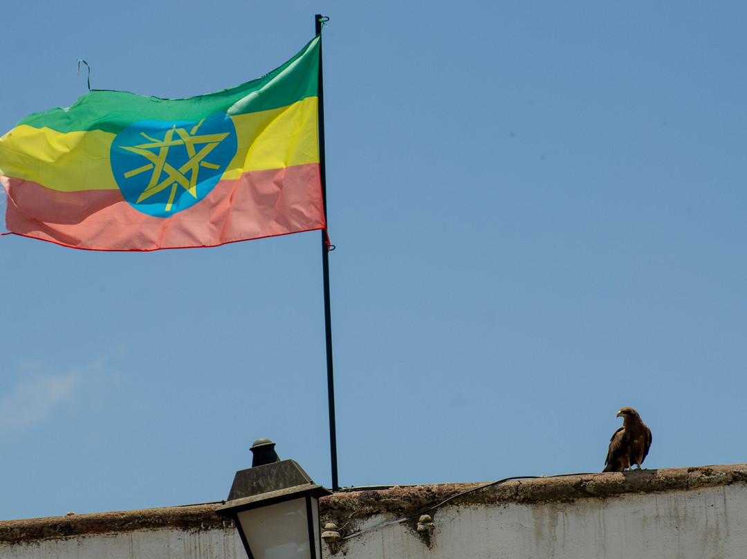 Abdul Harar Tour's-哈勒尔必去景点
