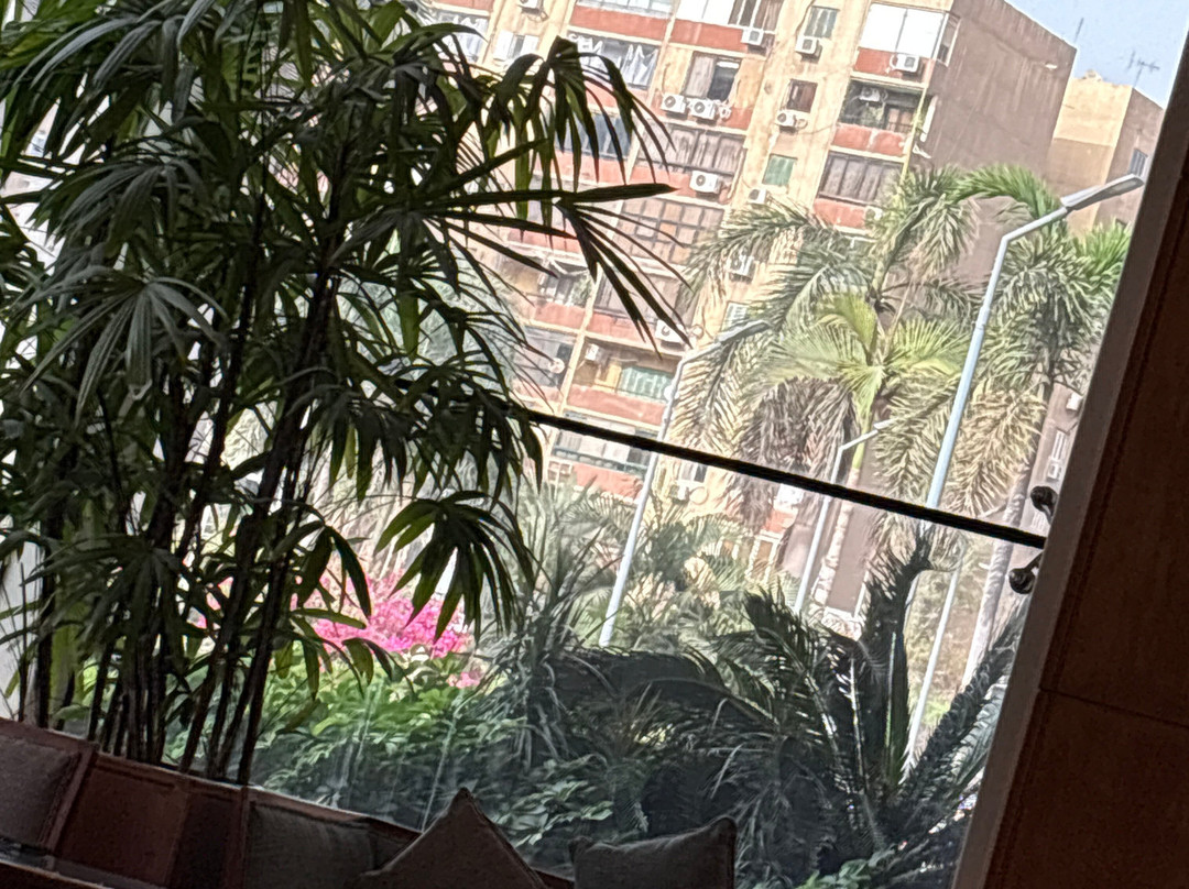 城市之星假日酒店主图