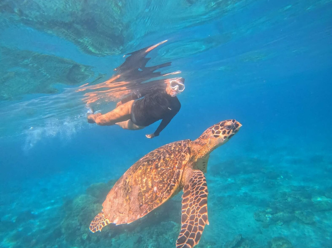 Ceningan Snorkeling Trip-努沙切宁安岛必去景点