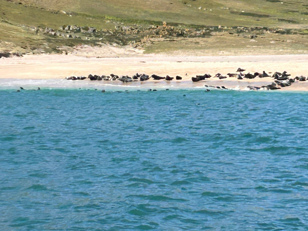 Hebridean Sea Tours-Castlebay必去景点