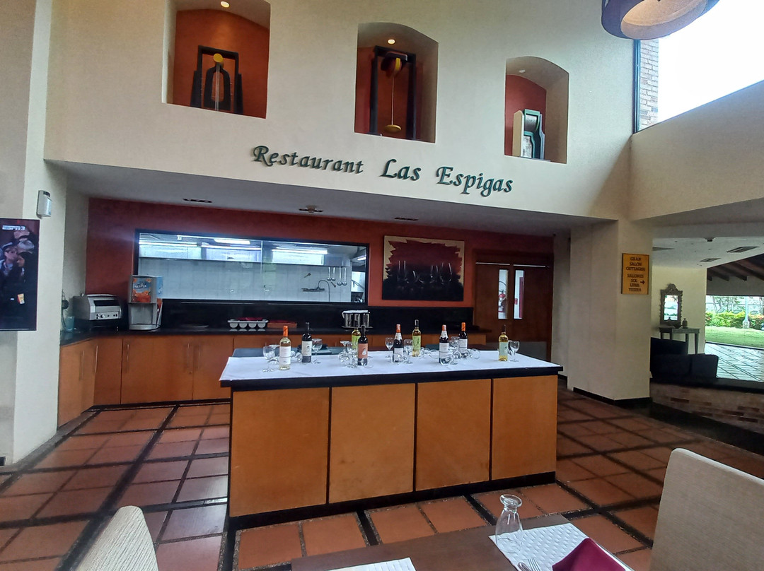 Geo Inn Hotel Las Villas主图