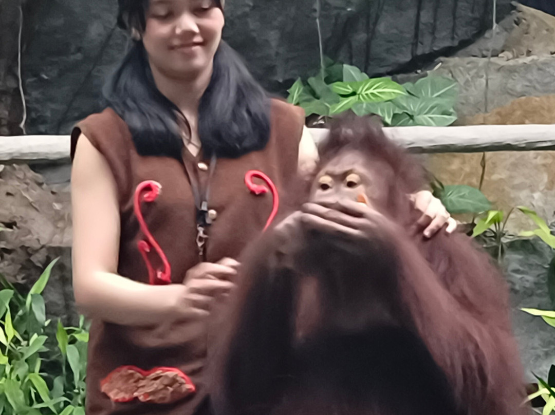 Taman Safari Prigen-Prigen必去景点