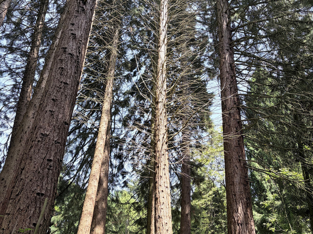 Sequoiafarm-Nettetal必去景点