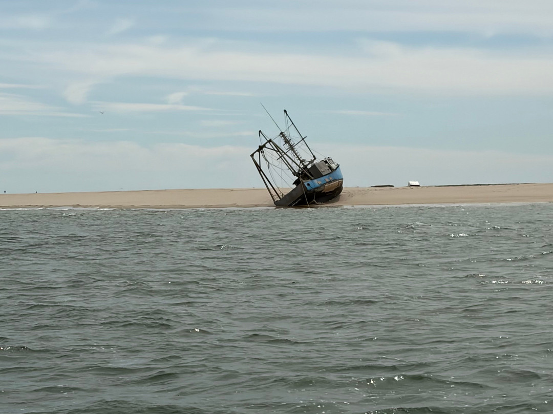 Monomoy Island Excursions-Harwich Port必去景点