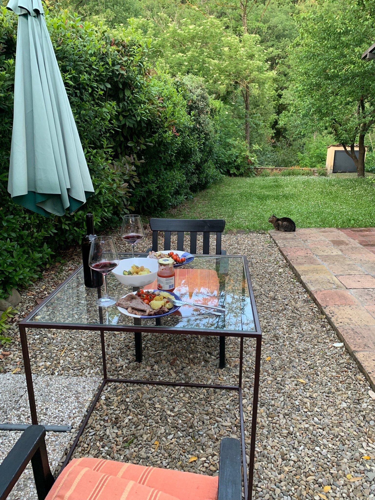 Il Cielo Bio - Il più Piccolo B&B del Chianti-旅行者