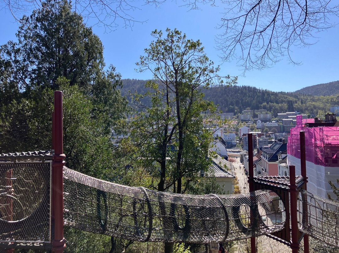 Nygardsparken-卑尔根必去景点