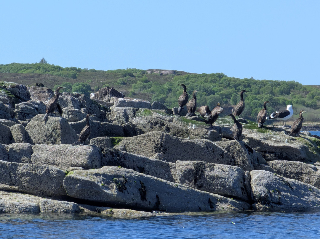 Gairloch Glass Bottom Boat Cruises-盖尔洛赫必去景点