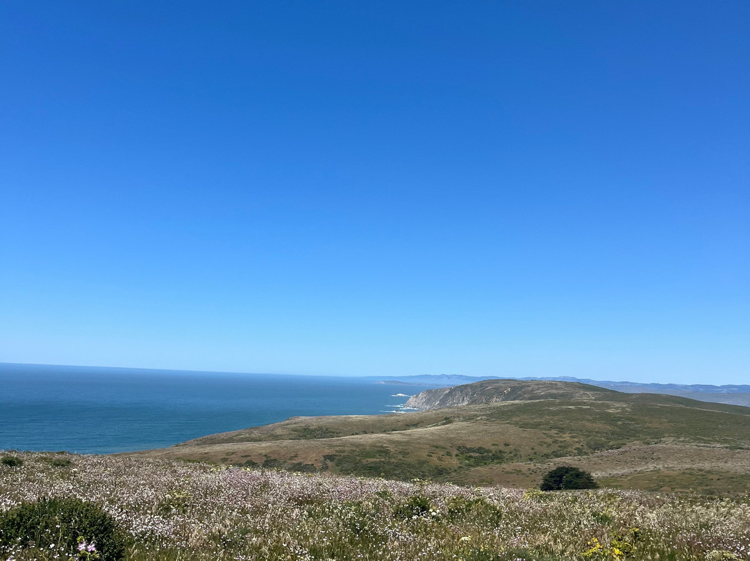 Point Reyes Safaris-Point Reyes Station必去景点