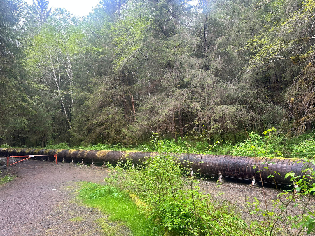 Tongass National Forest-凯奇坎必去景点