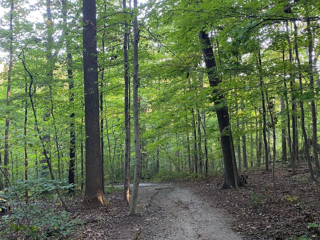 Blue Hen Falls-Brecksville必去景点