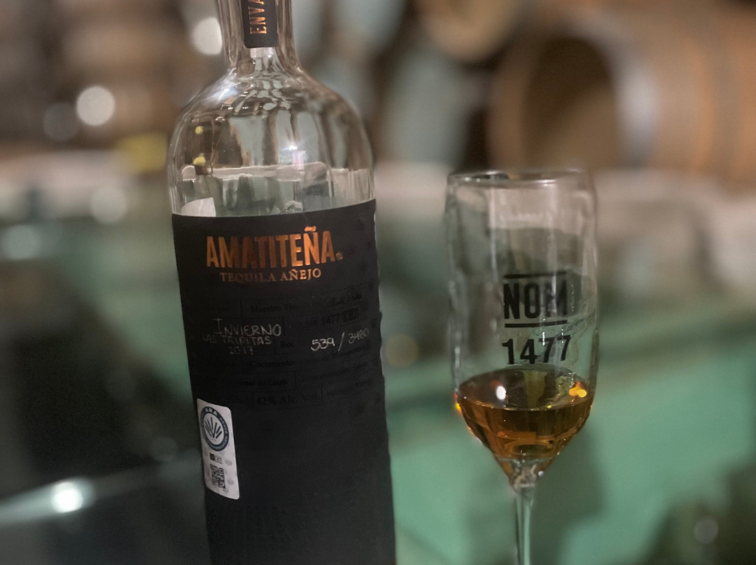 Tequila Cava de Oro-El Arenal必去景点