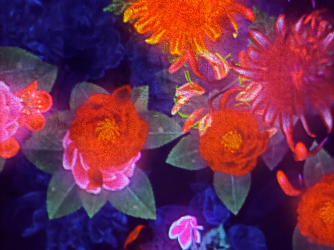 Teamlab Borderless Tokyo-港区必去景点