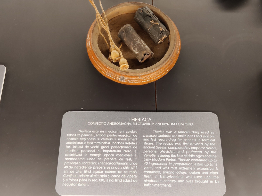 The Pharmacy Museum Cluj  - Mnit-克卢日-纳波卡必去景点