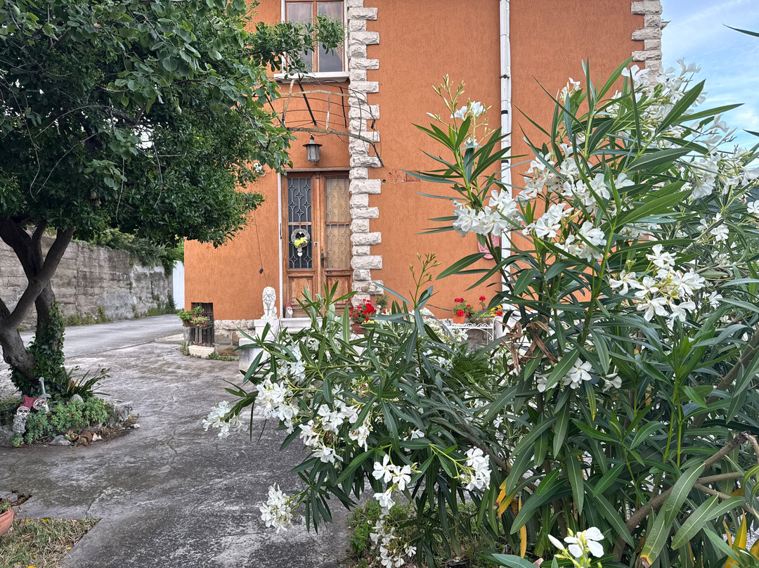 Agriturismo Allo Scoglio - Azienda Agricola主图