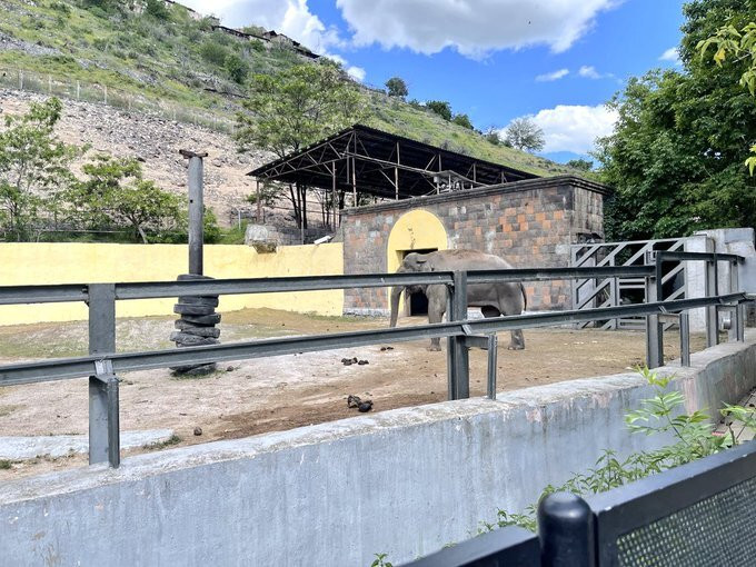 Yerevan Zoo-埃里温必去景点