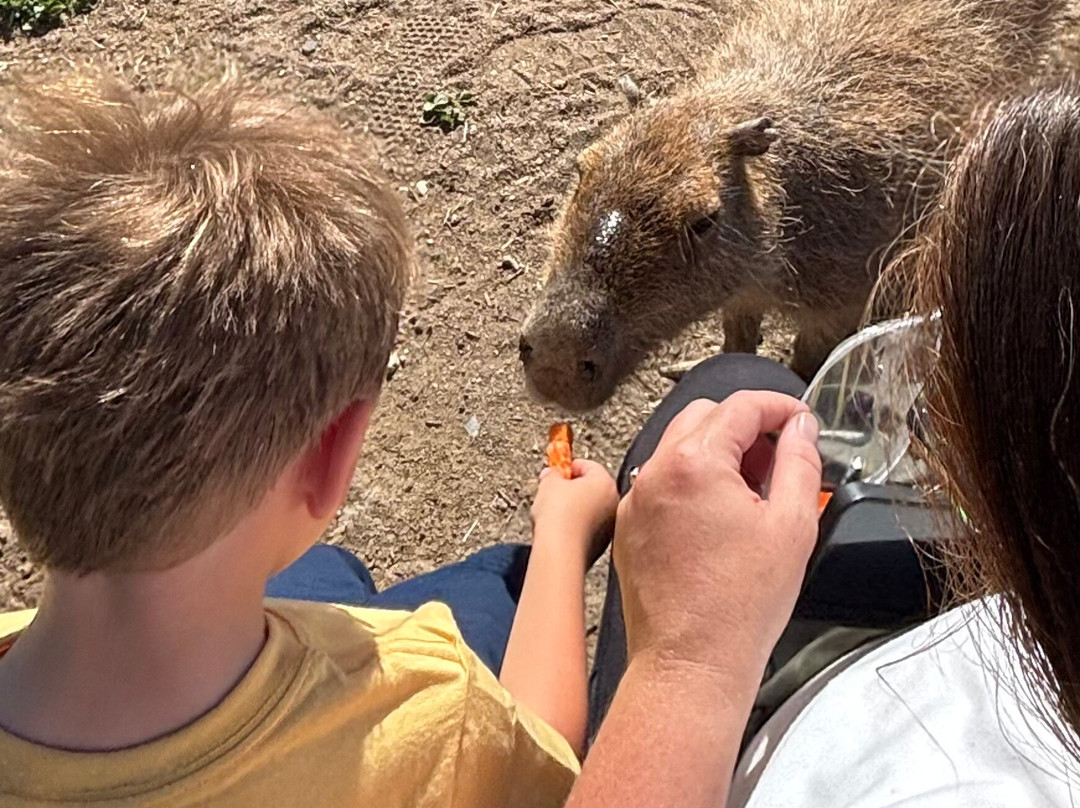 Utah Petting Zoo At Ivie Acres Farm-Grantsville必去景点
