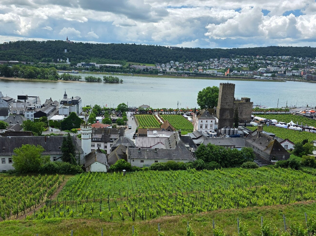 Seilbahn Rudesheim-吕德斯海姆必去景点