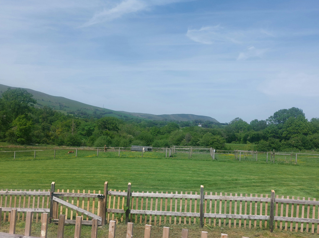 Little Meadow Park