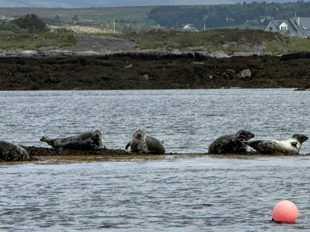 Donegal Sea Adventure-Burtonport必去景点