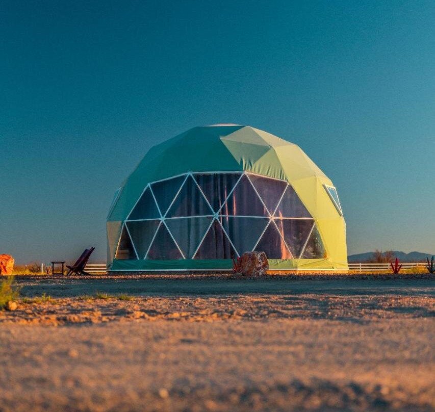 The Beer Dome