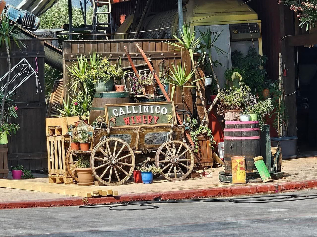 Callinico Winery Museum-Zakinthos必去景点