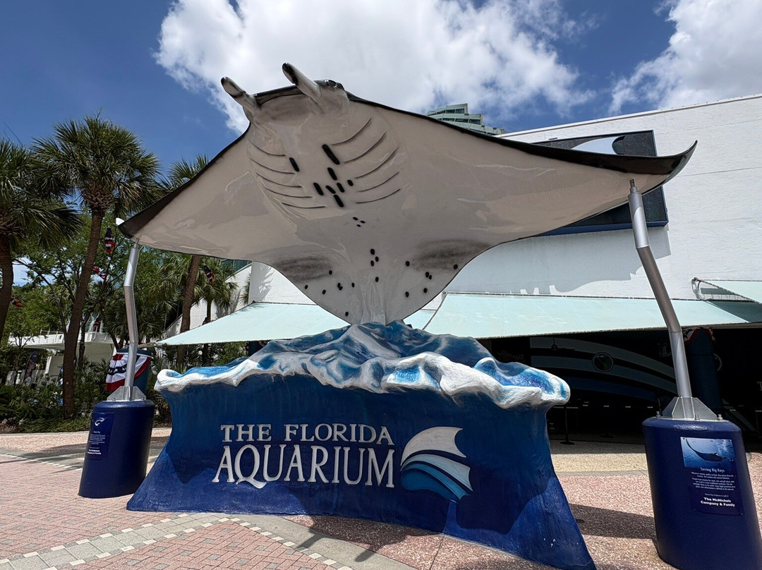 佛罗里达水族馆-坦帕必去景点