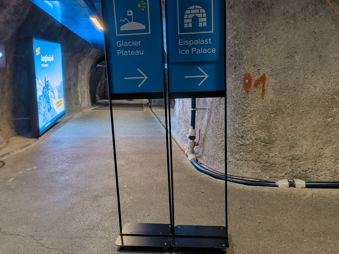 Ice Palace - Jungfraujoch-Jungfraujoch必去景点