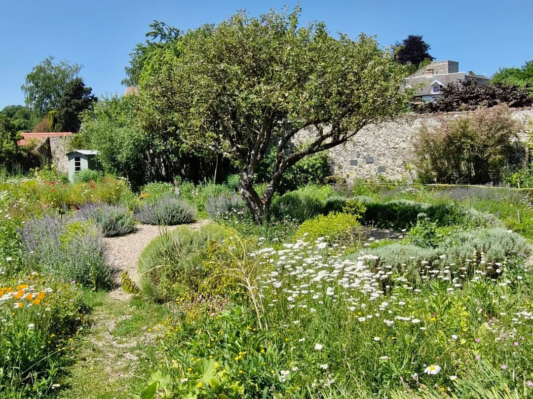 L'Herbarium-Saint-Valery-sur-Somme必去景点