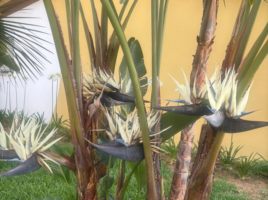 Villaggio Arco Naturale Club主图