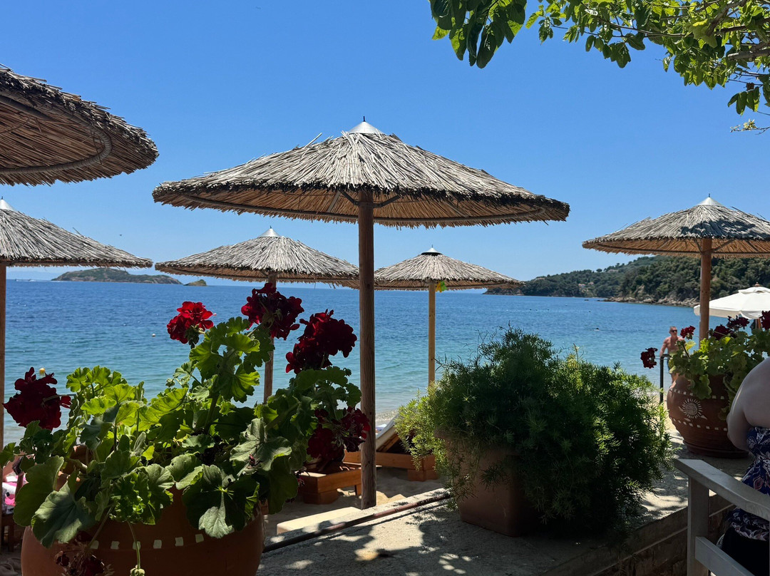 Mojo Bar by the Sea-Skiathos Town必去景点