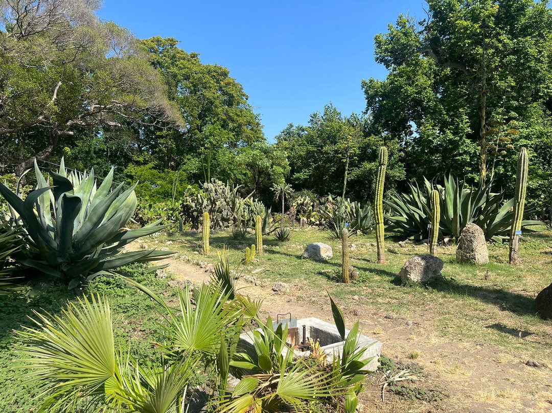 Orto Botanico-巴勒莫必去景点