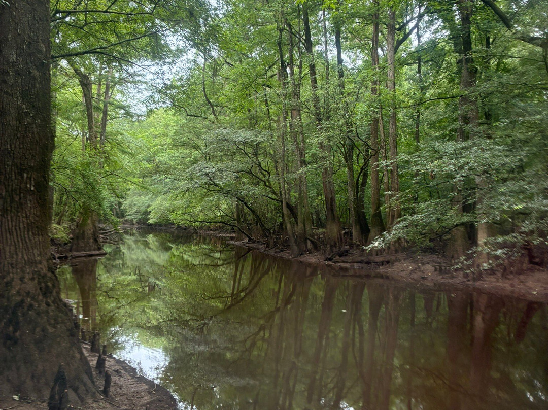 Carolina Outdoor Adventures-厄莫必去景点
