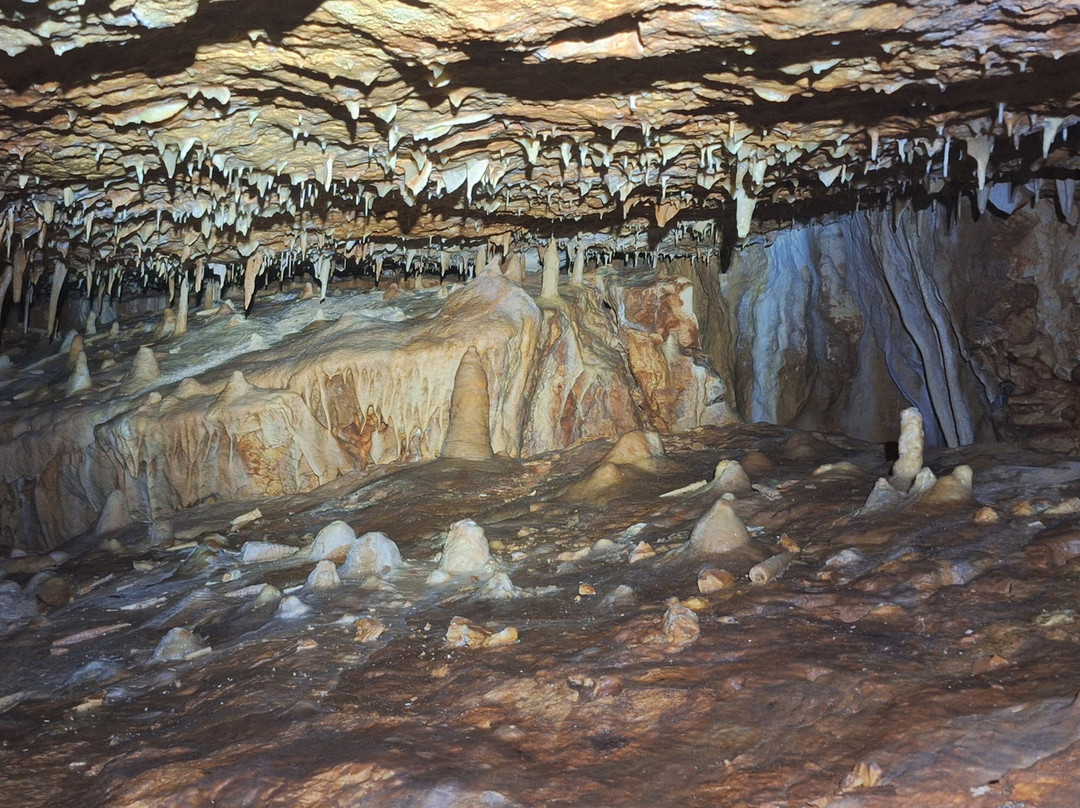 Aven Grotte Forestière-Orgnac-l'Aven必去景点