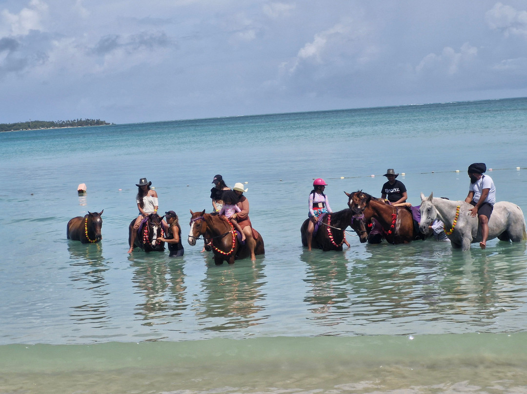 Being with Horses-Buccoo必去景点