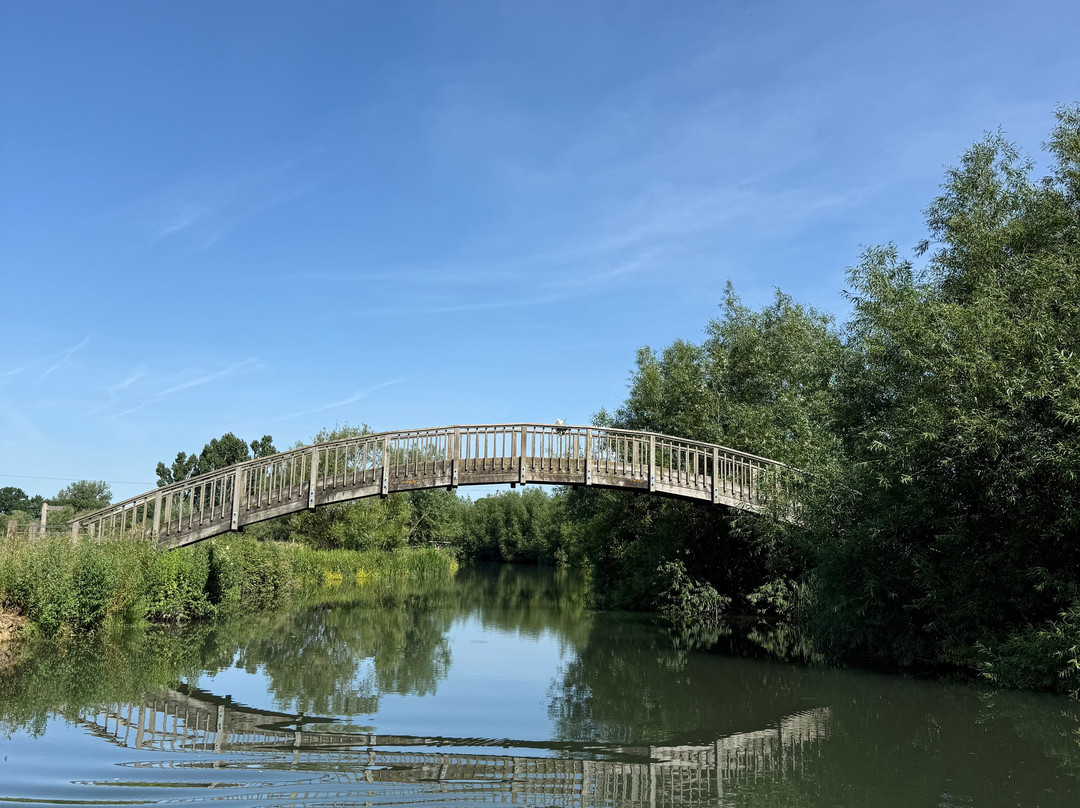 Cotswold Boat Hire Ltd-Buscot必去景点