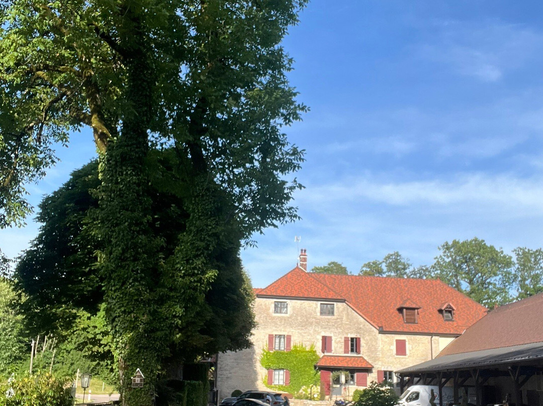 Maison Zugno Hôtel & Spa主图