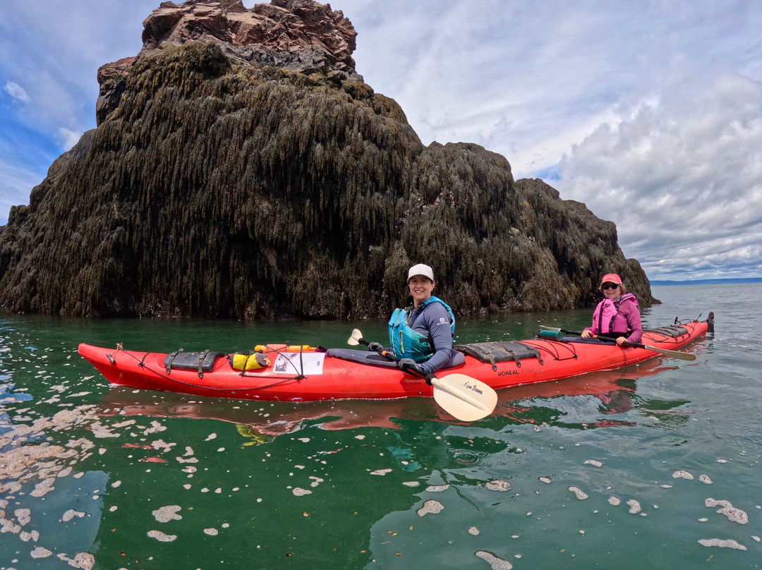 Novashores Adventures-Advocate Harbour必去景点